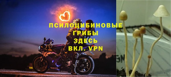 ECSTASY Алексеевка