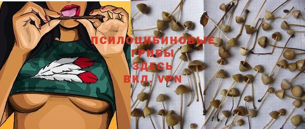 МДМА Алексин