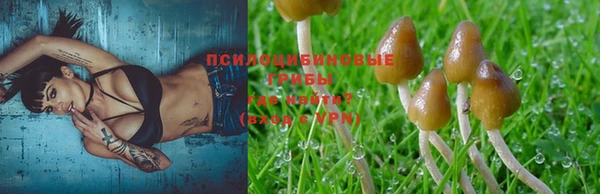 ECSTASY Алексеевка
