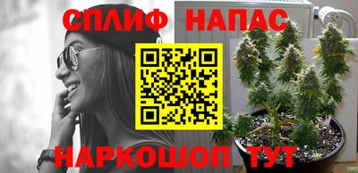крисы Рузаевка
