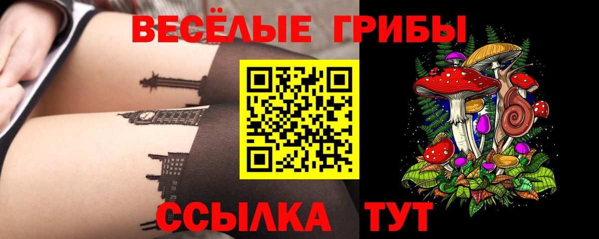 Псилоцибиновые грибы Psilocybine cubensis Павловский Посад