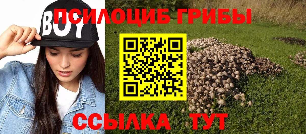 Галлюциногенные грибы Magic Shrooms  Галлюциногенные грибы MAGIC MUSHROOMS  Вход с VPN  Павловский Посад 