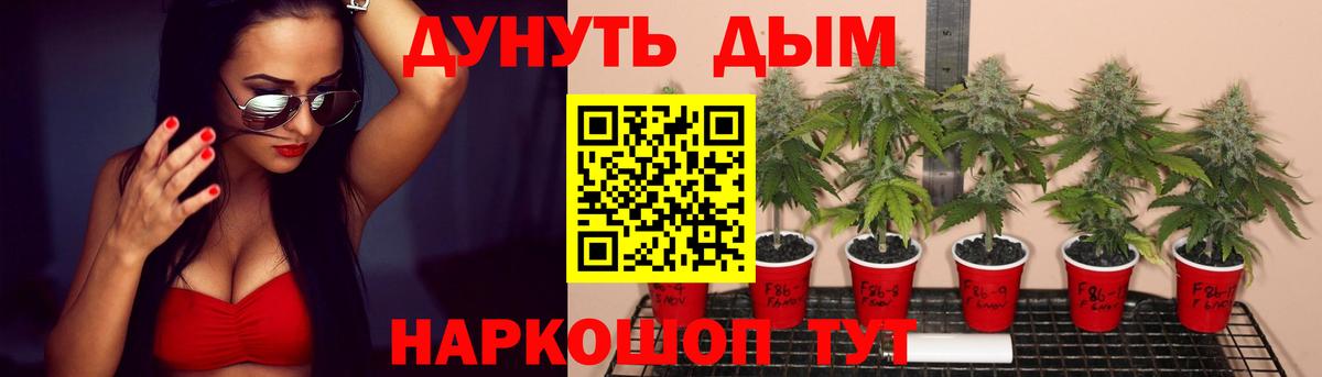 Бошки марихуана Amnesia  Шишки марихуана конопля  Павловский Посад  Каннабис VHQ  Вход с VPN 